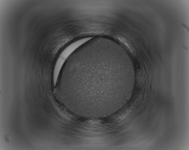 X0000096730495200802121318