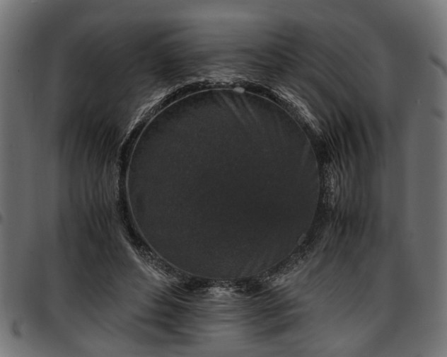 X0000096730496200802121318