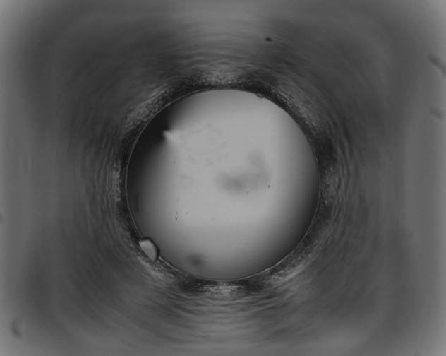 X0000096730497200802121318