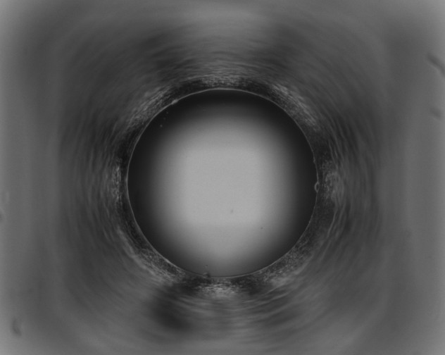 X0000096730498200802121318