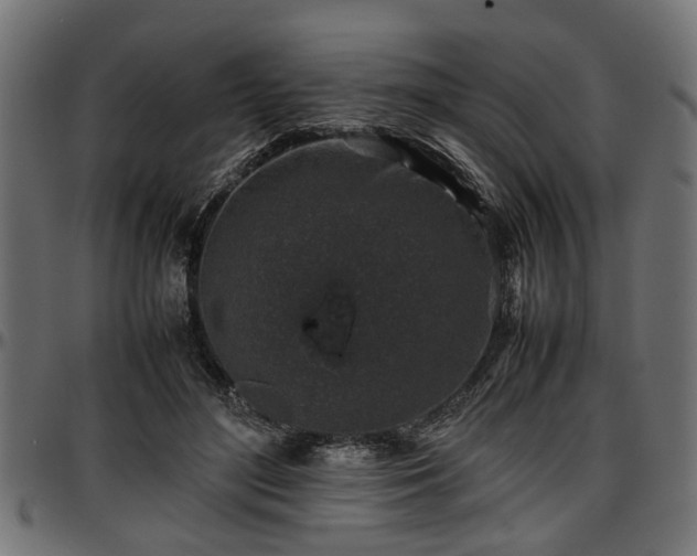 X0000096730500200802121318