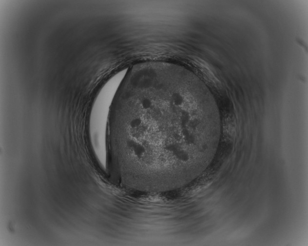 X0000096730503200802121318