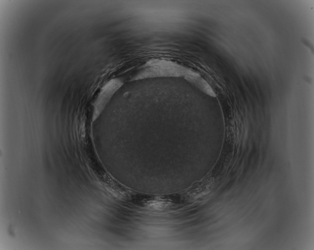 X0000096730504200802121318
