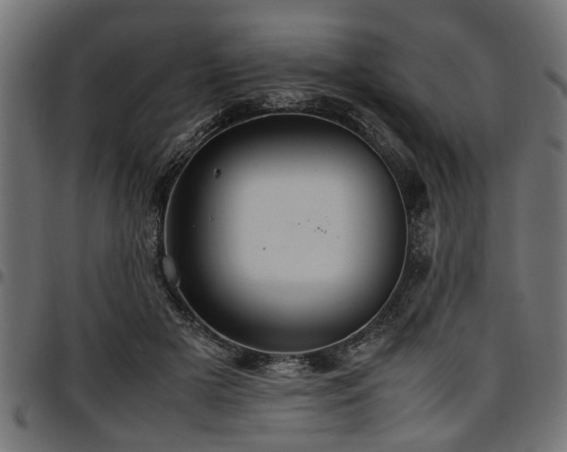 X0000096730505200802121318