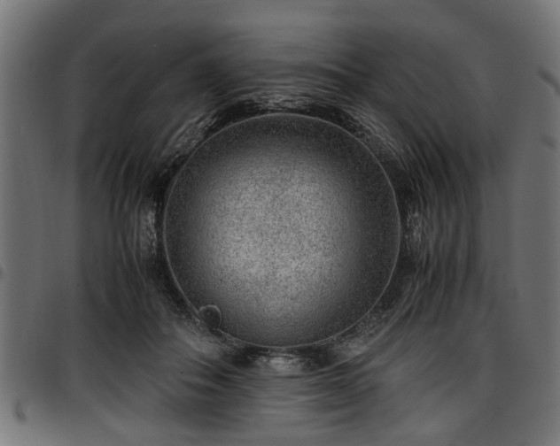 X0000096730506200802121318