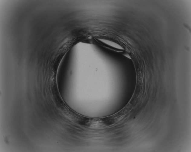 X0000096730507200802121318