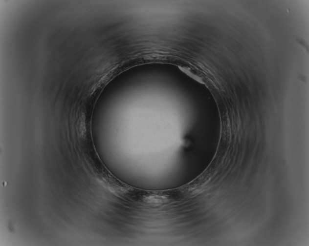 X0000096730508200802121318