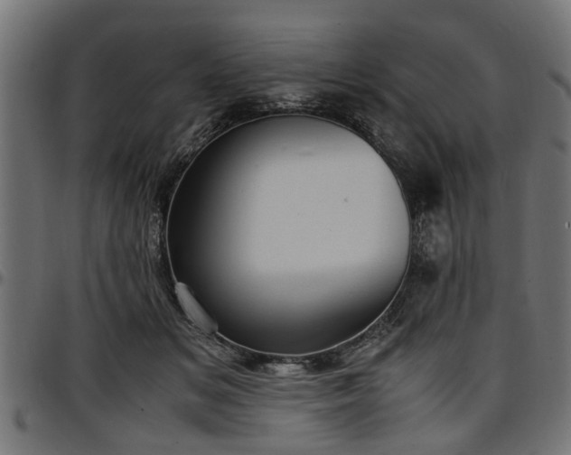 X0000096730509200802121318