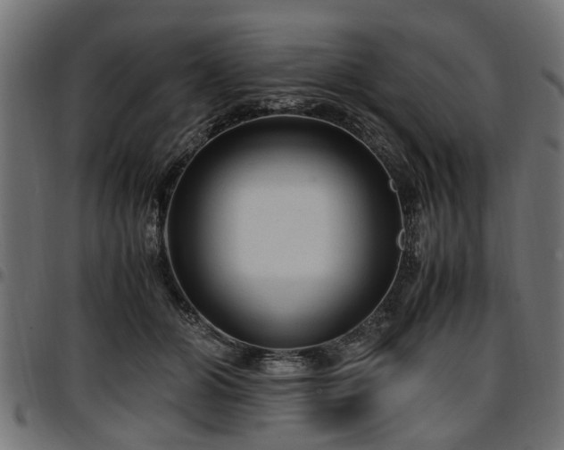 X0000096730510200802121318