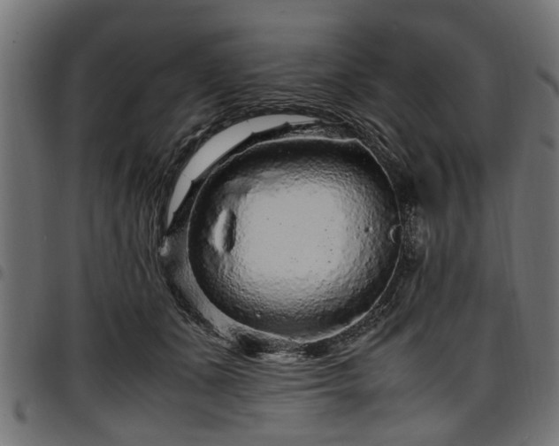 X0000096730511200802121318