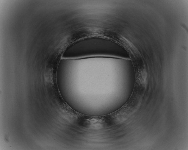 X0000096730512200802121318