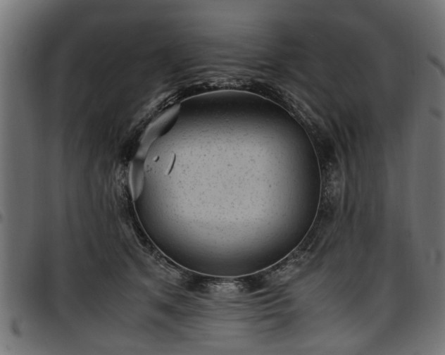 X0000096730513200802121318