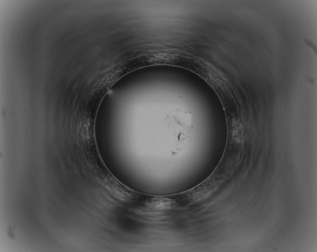 X0000096730514200802121318