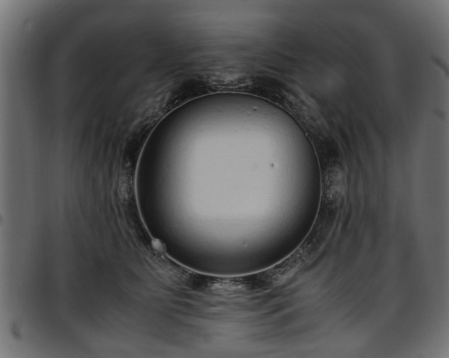 X0000096730515200802121318