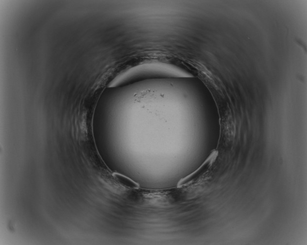 X0000096730516200802121318
