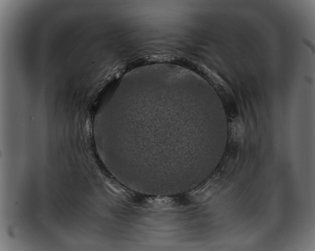 X0000096730517200802121318