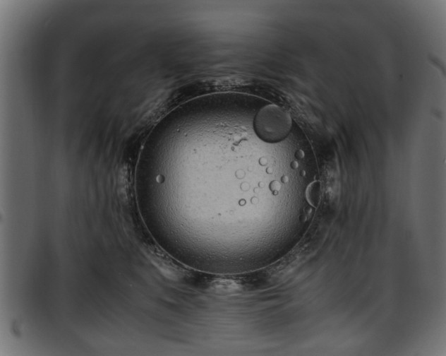 X0000096730519200802121318