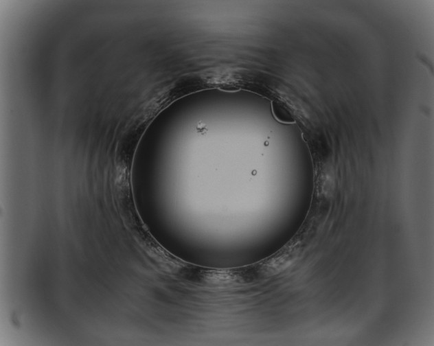 X0000096730521200802121318