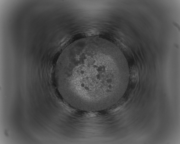 X0000096730523200802121317