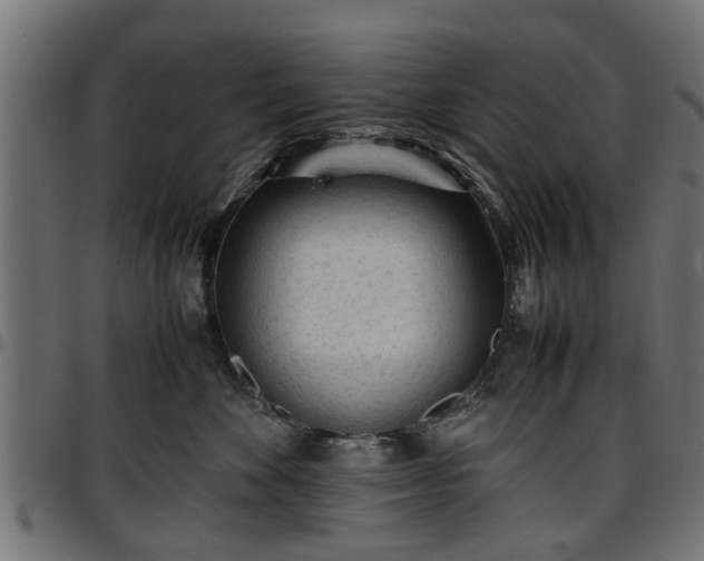 X0000096730524200802121317