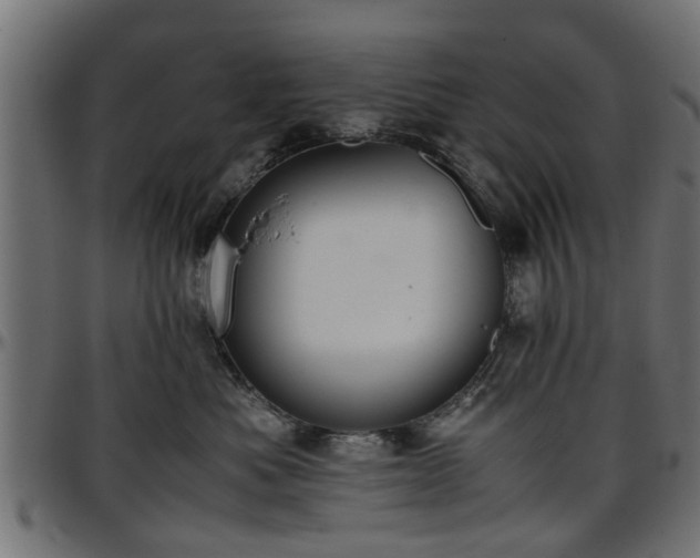 X0000096730525200802121317