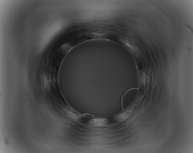 X0000096730526200802121317