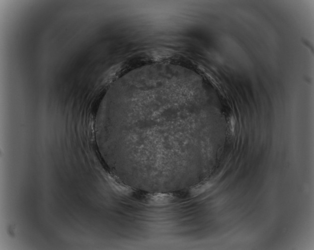 X0000096730527200802121317
