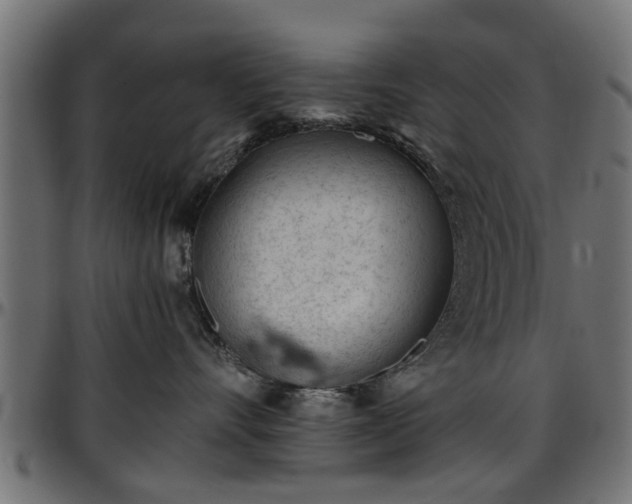 X0000096730528200802121317