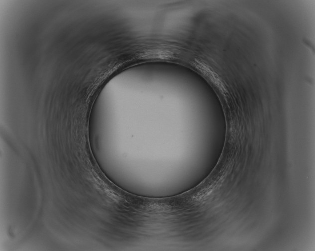 X0000096730529200802121317