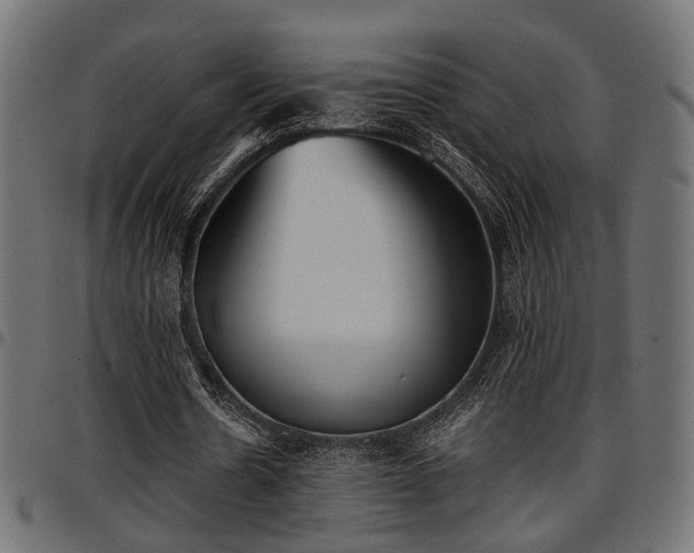 X0000096730530200802121317