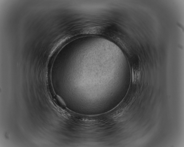 X0000096730531200802121317