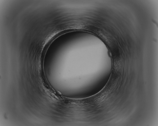 X0000096730532200802121317