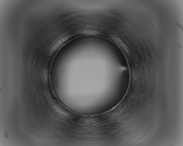 X0000096730533200802121317
