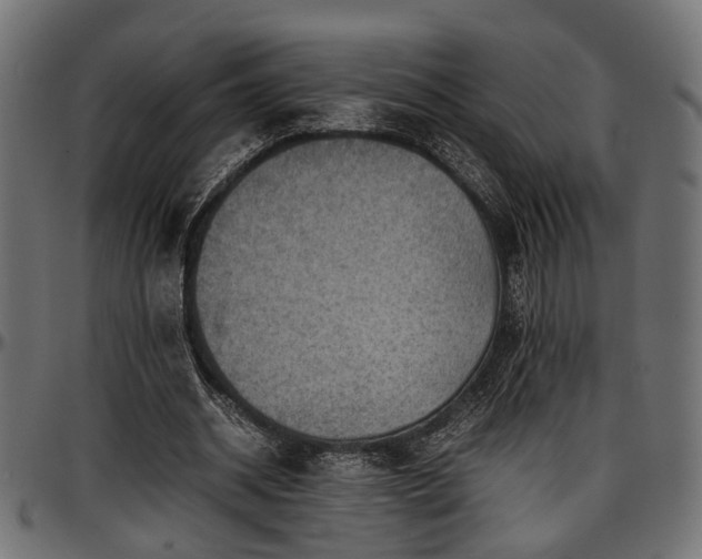 X0000096730534200802121317