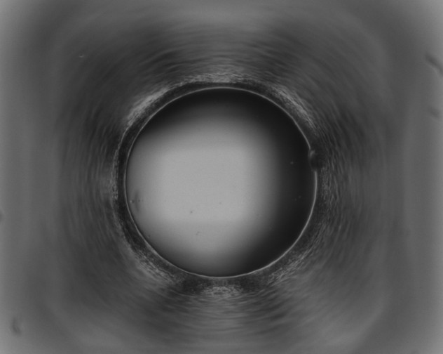 X0000096730536200802121317