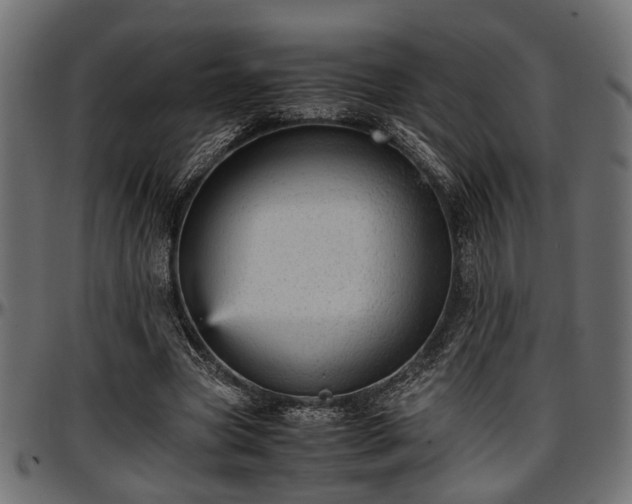X0000096730537200802121317