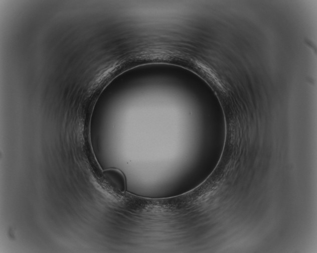 X0000096730538200802121317