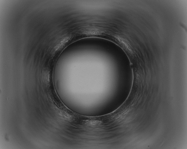 X0000096730539200802121317
