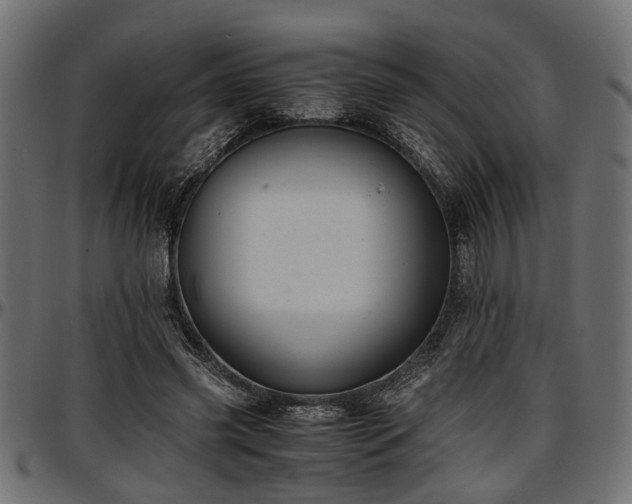 X0000096730541200802121317