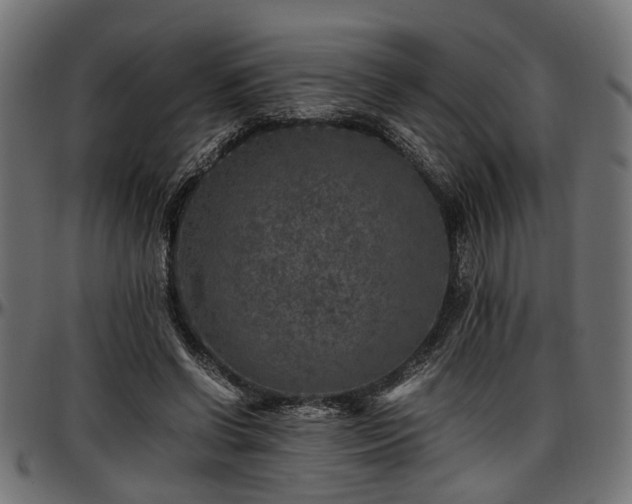 X0000096730542200802121317