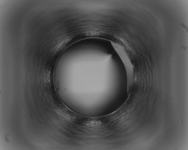 X0000096730543200802121317