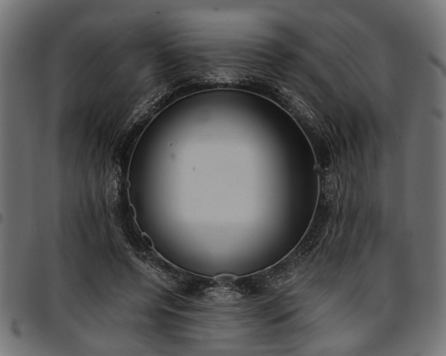X0000096730544200802121317