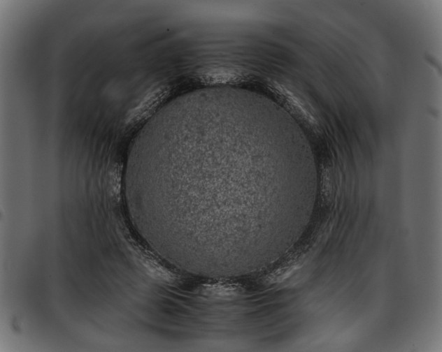 X0000096730545200802121317