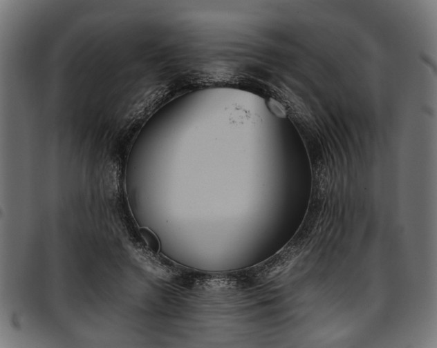 X0000096730546200802121317