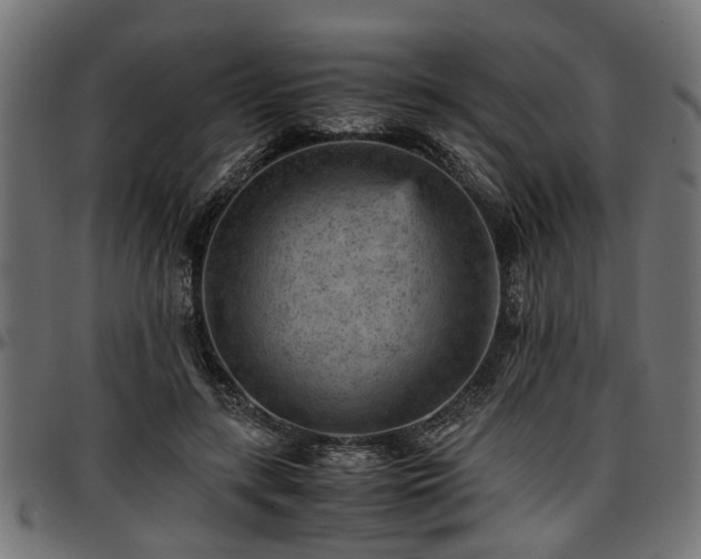 X0000096730547200802121317
