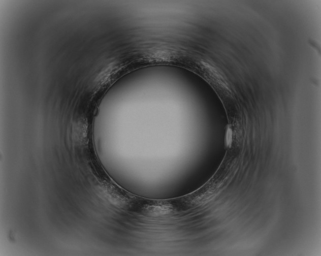 X0000096730548200802121317