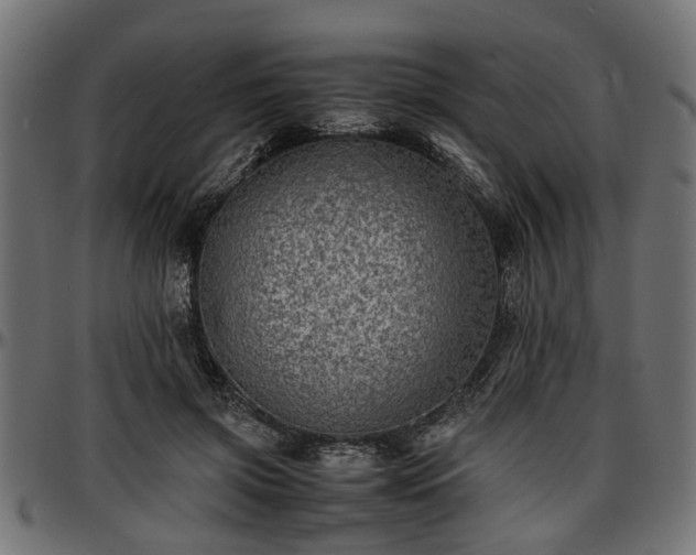 X0000096730549200802121317