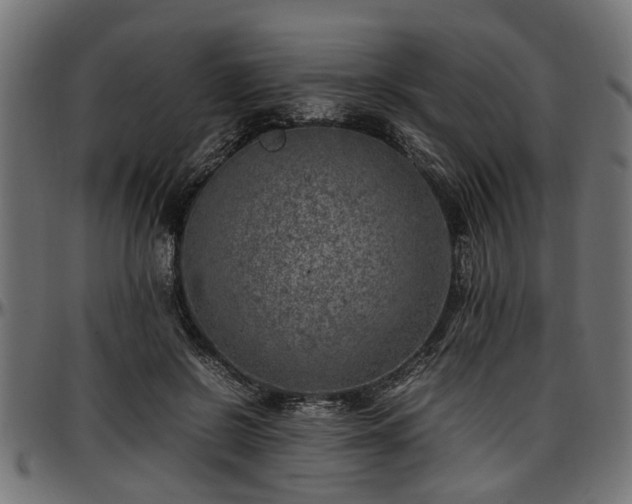 X0000096730550200802121317