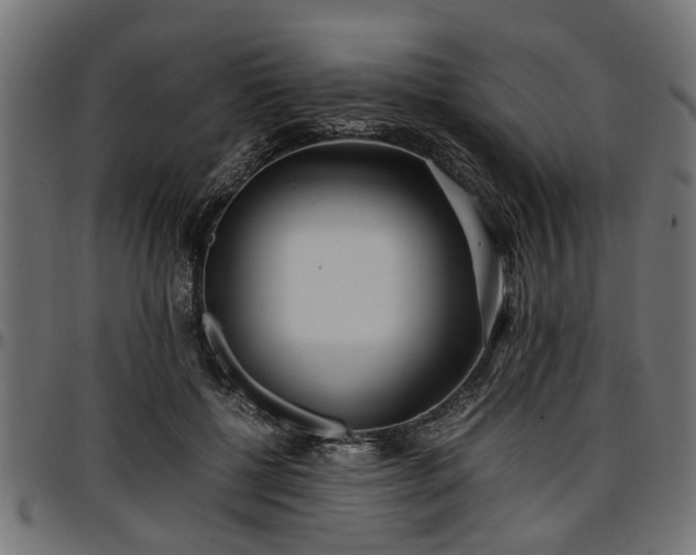 X0000096730552200802121317
