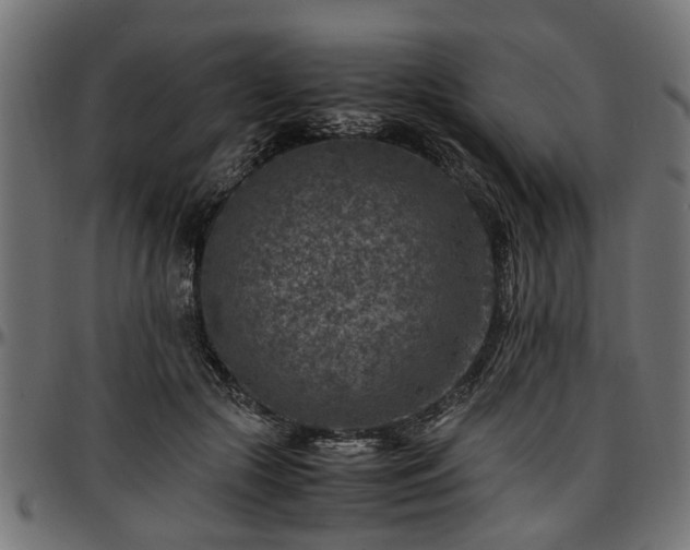 X0000096730553200802121317